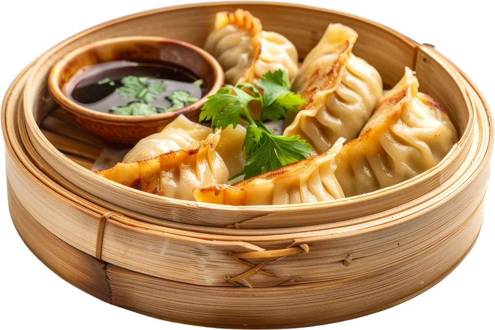 Primo piano: jiaozi alla griglia con salsa di soia